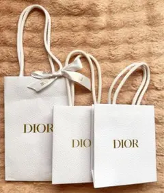 Diorショップ袋3点セット