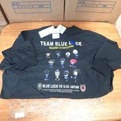 Blue Archive ブルーアーカイブ 韓国 献血グッズ 私服ver - メルカリ