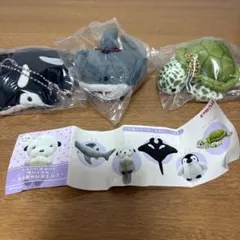 Item thumbnail for item e3b8f8a7-f72d-46df-a3d5-9953e5b1387a