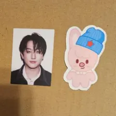 チャンビン　通常版　idフォト　プレオーダー　特典　スキズ　DO IT　トレカ