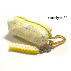 ゴルフボールケース ミニティーホルダー付き✩.*˚ ミモザ