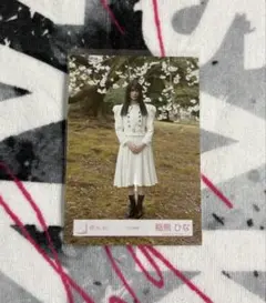 櫻坂46 稲熊ひな アクリルスタンド - メルカリ