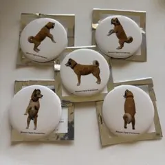 サイレントヒル 2 exhibition 缶バッジ Dog END | Mercari