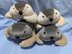 Dｒ.マーモット　Mサイズ まもちおもプクのぺたーん＆マモ相撲　4体
