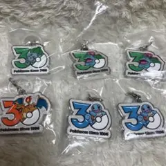 ポケモン メタルチャーム 30周年記念 ４種６点セット