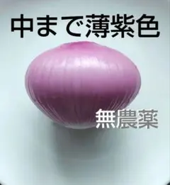b「中まで色が付いた」赤玉ねぎ＜無農薬・有機肥料・抗酸化作用＞正味１.２kg以上のサムネイル