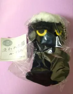 洗われた猫 ぬいぐるみ 実家の猫