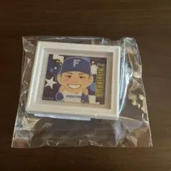 北海道日本ハムファイターズ 西川遥輝 ミニ額縁