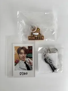 MINITEEN めじるし SEVENTEEN ディノセット