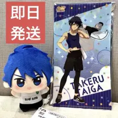 大河タケル アイドルマスター ちびぐるみ チアフルアンサンブル vol.1 ㉑