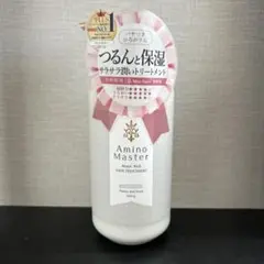 Amino Master モイストリッチヘアトリートメント 500gのサムネイル