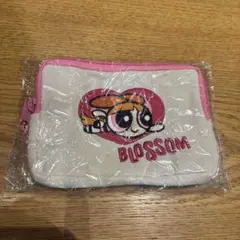 Item thumbnail for item 20fe7236-a322-44c5-9640-e39490b3c8a0