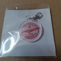 2025年最新】山下達郎 キーホルダーの人気アイテム - メルカリ