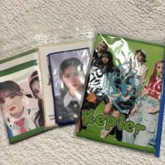 森のクマ様 リクエスト 2点 まとめ商品