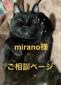 Murano 様ご専用 80size 4箱 18日着 ふっさふさのフサミモザ