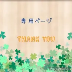 ぽるて様専用 アクアビーズ100個入り×8袋・エポック社