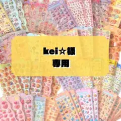 kei☆様専用出品