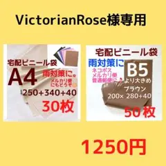 Item thumbnail for item 302f8774-05b1-45aa-9dbf-5d7ba5c2ce61