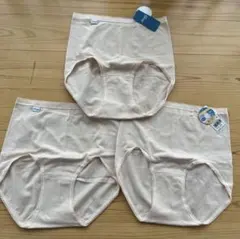 新品タグ付トリンプ スロギー sloggi マキシショーツ 3枚セットM