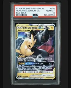 ピカチュウ＆ゼクロムGX RR PSA10