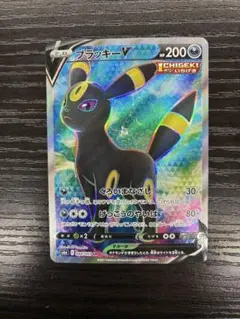 2026年最新】ブラッキーV srの人気アイテム - メルカリ