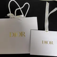 DIOR ホワイト レザー調 バッグ 2点セット