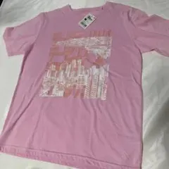 訳あり格安　廃盤　デッドデッドデーモンズデデデデデストラクション　Tシャツ　М