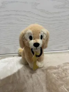 2025年最新】カリブの海賊犬の人気アイテム - メルカリ