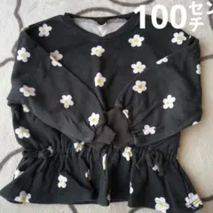 Item thumbnail for item 73dba0e5-9c44-4d1e-bdbe-76a738d6b37c