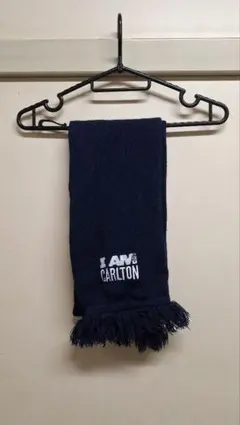 Item thumbnail for item ed182b4f-35c1-473f-bc96-e98b2cda12cb