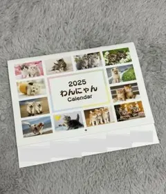 Item thumbnail for item 6c41c214-de01-4577-98cb-e8d9cf271744