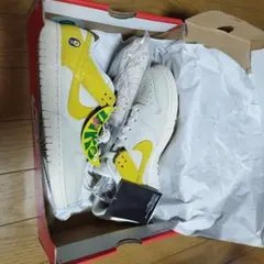 Nike Women's Dunk Low 