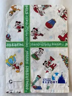 東京ディズニーランド 紙袋 クリスマス