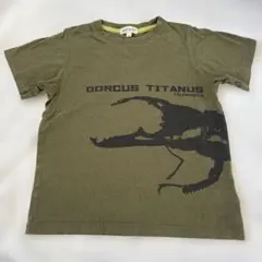 SHOO・LA・RUE クワガタ Tシャツ カーキ 120cm
