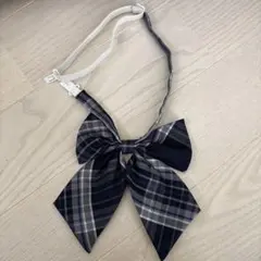 Item thumbnail for item 4522a5c0-7b70-45d0-84e4-a422f30f1506