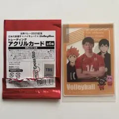 世界バレー2025 石川祐希 ハイキュー アクリルカード 日向翔陽 影山飛雄