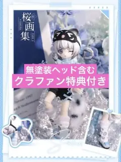 异象重构 異象重構 シークレット　チョウ桜画集スタジオ ドール ブラインドドール 异象重构 異象重構 シークレット チョウ桜画集スタジオ ドール