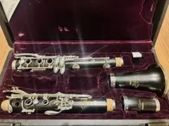 Item thumbnail for item 2025cd22-970c-413c-b4d5-09a60bf6a362