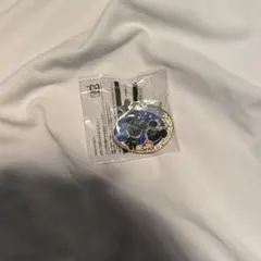 ディズニーランド ジャングルカーニバル 夜限定 ミッキー ミニー ピンバッジ