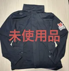 Item thumbnail for item 7d709d2b-4a62-4875-8c63-43b90105cc7d