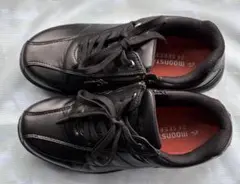 Item thumbnail for item a6a1f2f1-08dd-4503-9ed1-6e4ac54029fd