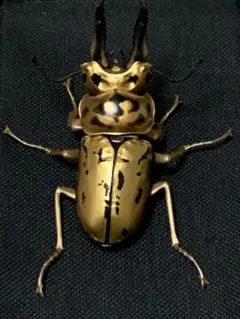 Item thumbnail for item cb0df77c-8189-456b-9d68-11856770ecbf