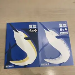 四谷大塚 予習シリーズ 算数 6年 下 有名校対策 - メルカリ