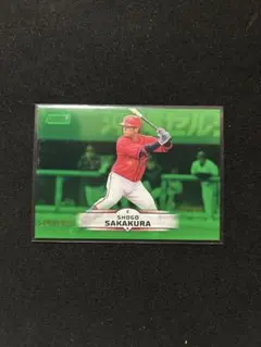 Item thumbnail for item b543058b-c509-4374-937a-1b99e00095c9