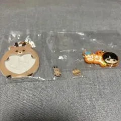 RIIZE ライズ　ソンチャン　ガチャ