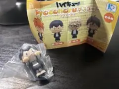 ハイキュー!! 　影山飛雄　ぴょこのる