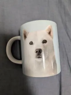 SoftBank お父さん犬 マグカップ