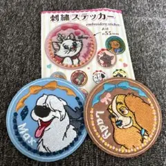 刺繍ステッカー ディズニー　レディ　マックス