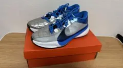 ナイキ トレーニングシューズ シルバー/ブルー箱付き