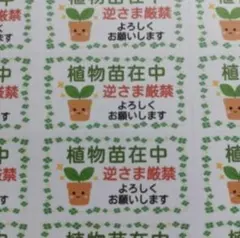ケアシール　植物苗在中　双葉の植木鉢　2シート88枚 サンキューシール